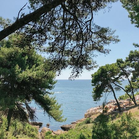 Apartments Nautilus Ulcinj Bagian luar foto