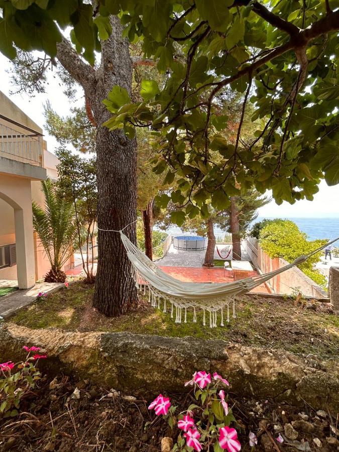 Apartments Nautilus Ulcinj Bagian luar foto